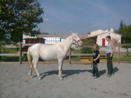 Mathilde et son jeune poney Ugo apprennent ensemble le respect.